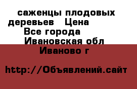 саженцы плодовых деревьев › Цена ­ 6 080 - Все города  »    . Ивановская обл.,Иваново г.